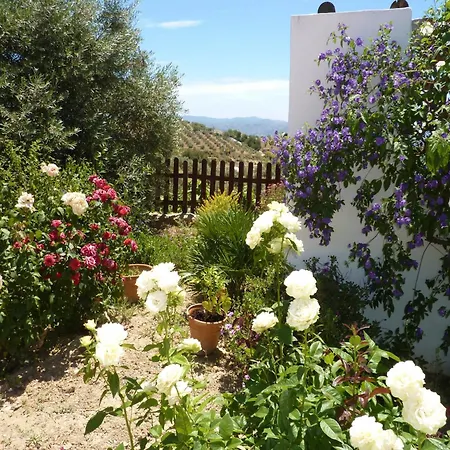 Villa Belvilla By Oyo Casa Coqui Juan Ram N